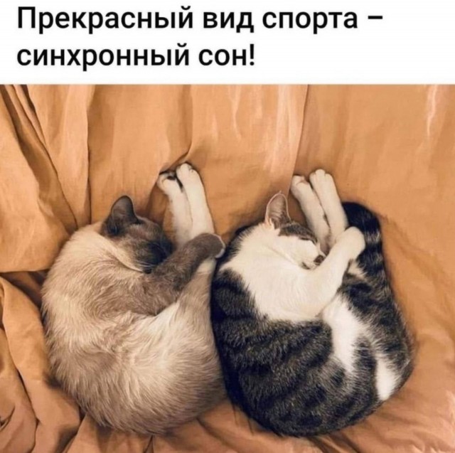 Так себе картинки 13.06.25