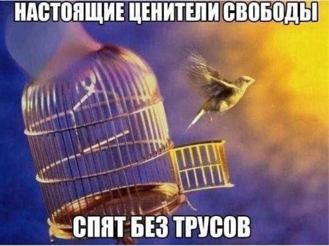 Как спит настоящий ЯПовец?