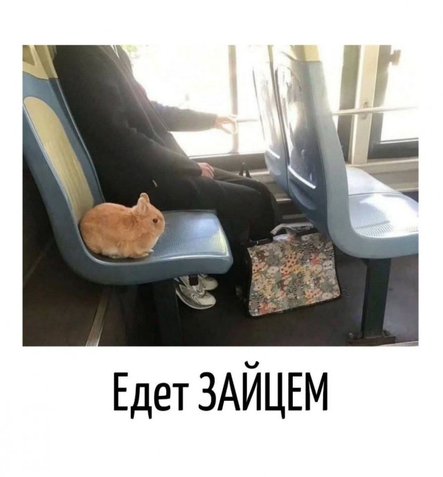 Игра слов в картинках