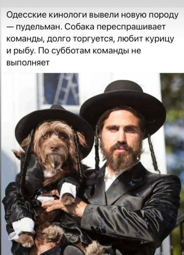 Анекдоты с бородой и депиляцией