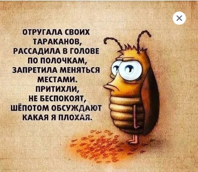 Заводятся дети, разводятся люди