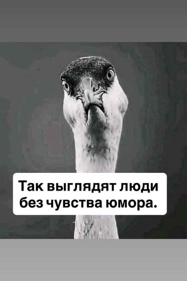 Субботние картинки