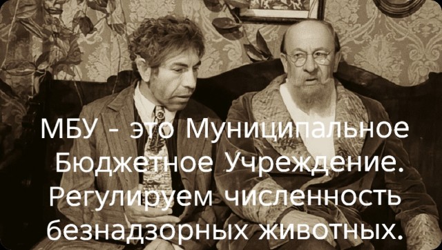 В Волгограде толпа напала на сотрудников службы отлова  МБУ «Северное»