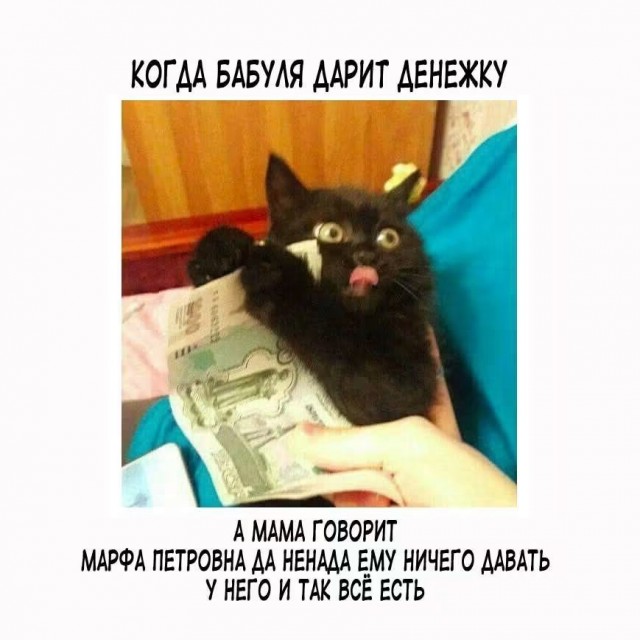 Картинки для деградации 266 (разной степени свежести)