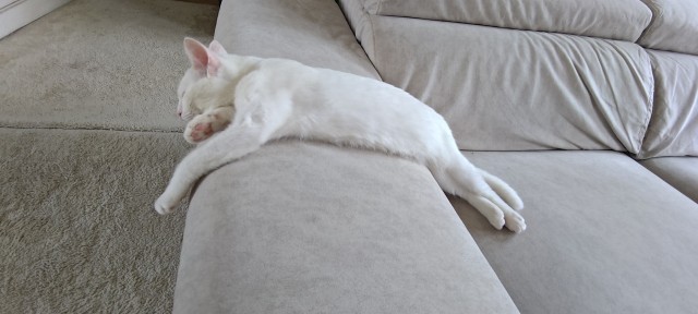 А как вы спите?