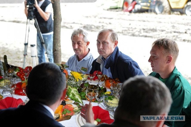 Путин отобедал с комбайнерами в селе