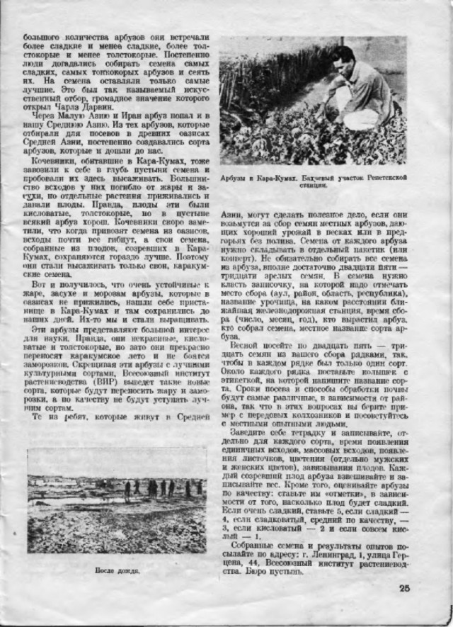 Ветхое живое время...