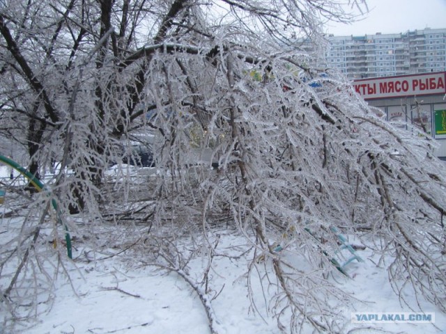 Лед на улицах Москвы