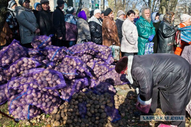 Выборы в Новороссии