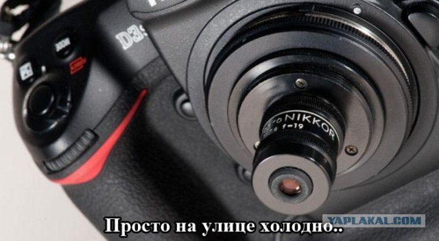 Конкурс Боковых Веток