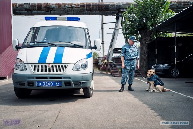 Центр кинологической службы Упр-ния на транспорте
