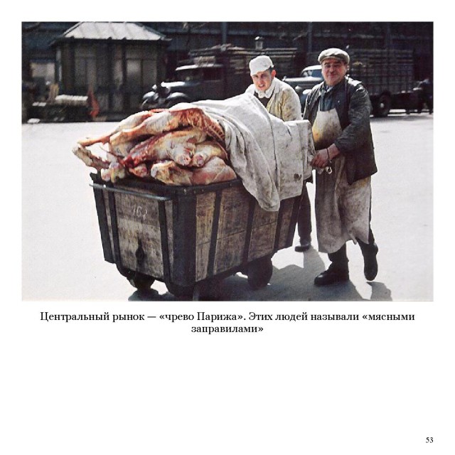 "Бедная Франция!"