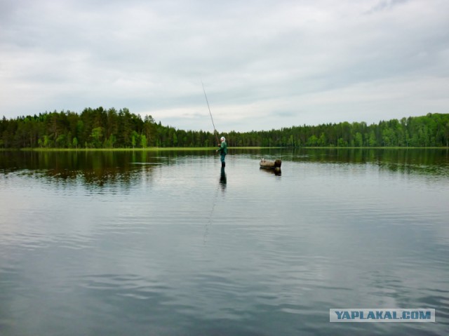 Я узнал, что у меня есть огромная семья