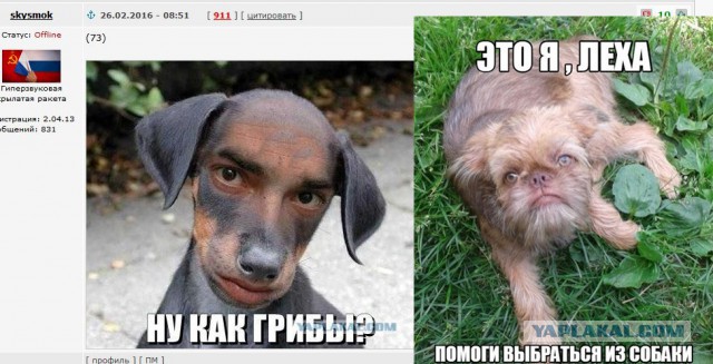 Свежая подборка картинок