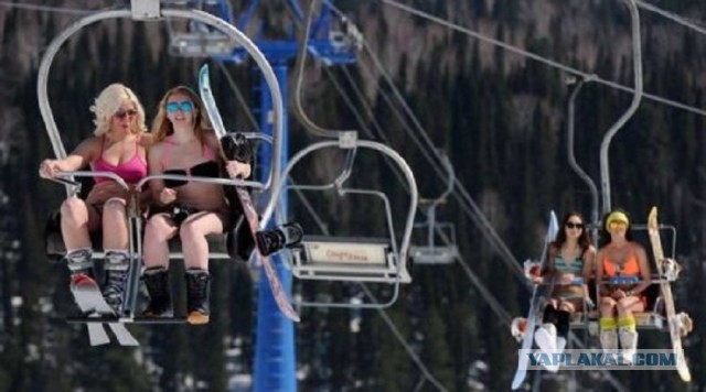 Подборка интересных и веселых фото