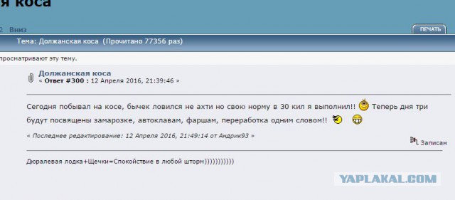 Бычки в томате.