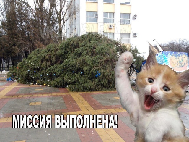 Порция абсурдного юмора на следующую неделю