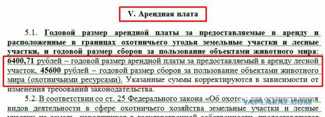 Кузбасские чиновники продают 142 тысячи гектаров тайги рядом с госзаповедником за 6 400 рублей
