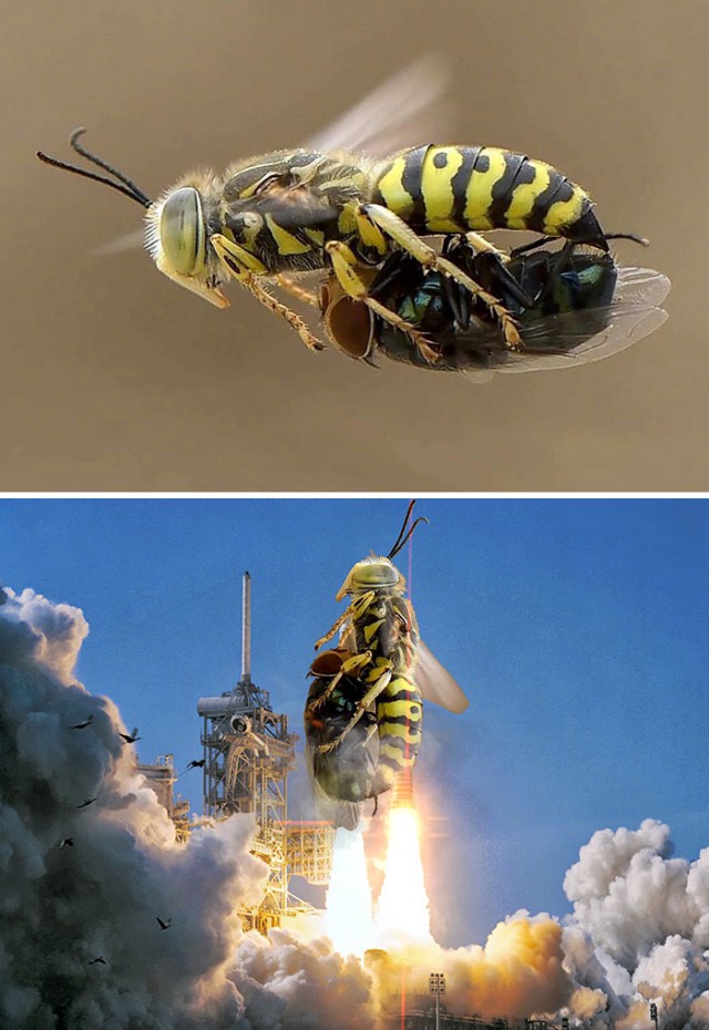 Много-много картинок от мастеров фотошопа.