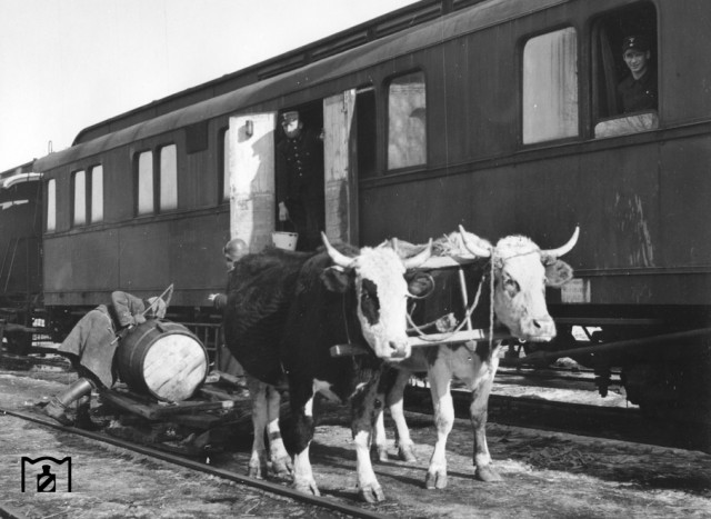 Украинские железные дороги 1943 г. глазами немцев