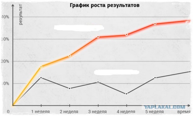 Как стать криптоэкспертом. Пособие для начинающих
