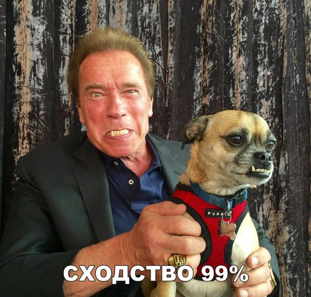 Прикольные картинки обо всем