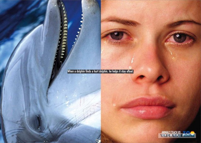 Животные учат быть людьми!