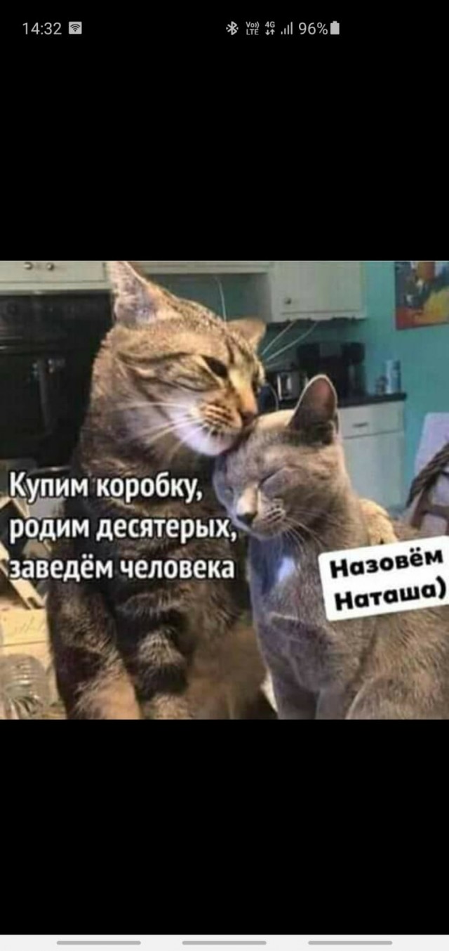 Немного картинок с надписями и без 18.12.2020