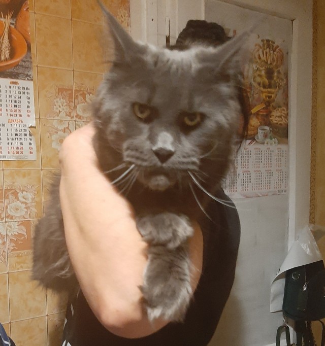 С новым годом, у нас пополнение