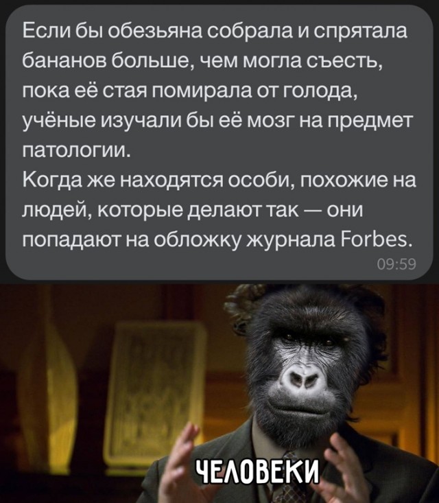 Картинки 12.02.21
