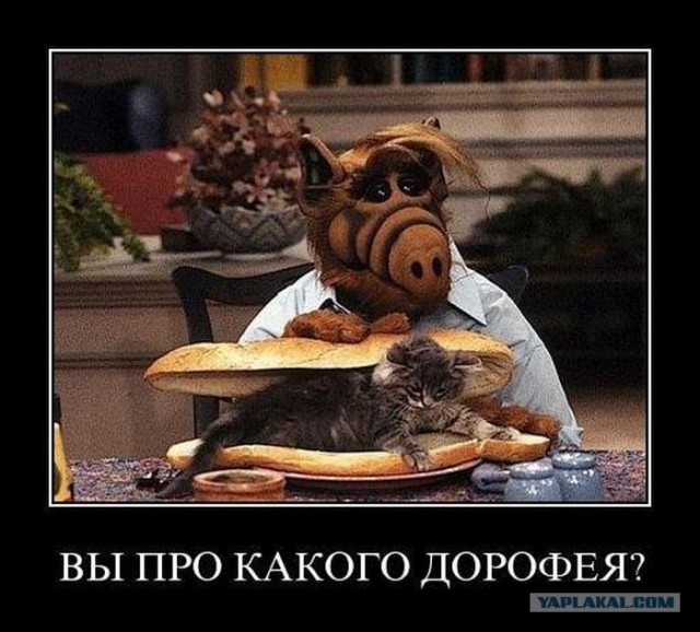 Закон бутерброда vs Закон падающей кошки