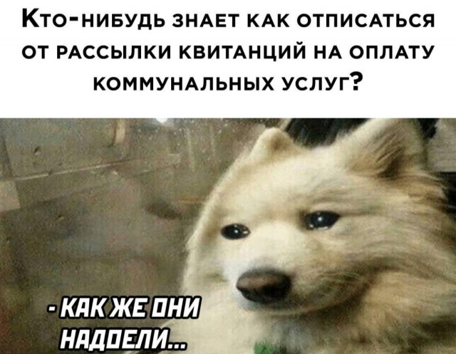 Бредзона 21.03.2021