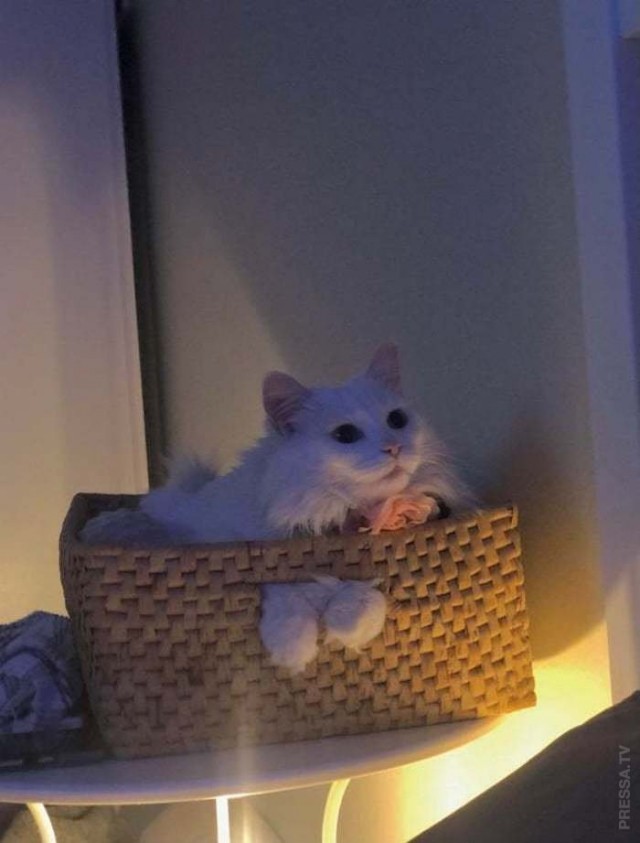 Картинки и мемы для настроения