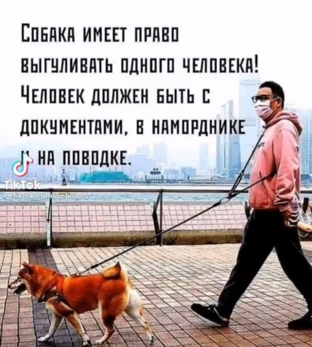 Пандемия. Коронавирус. Россия и мир. Последняя информация. Часть 25