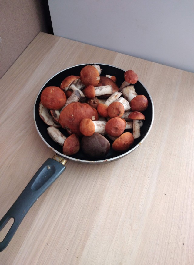 По грибы...