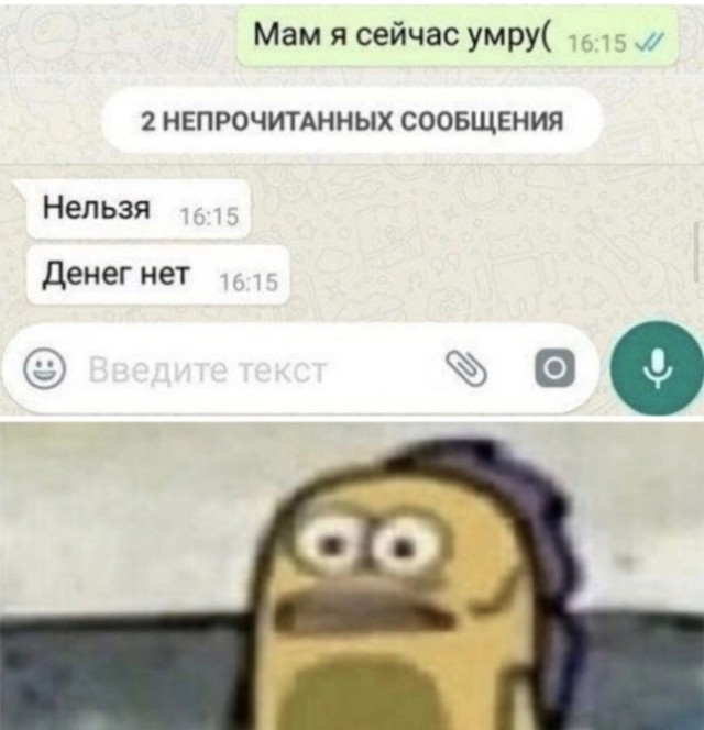 На Серьёзных Щах (ч.2)