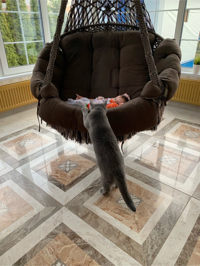 Просто позитив