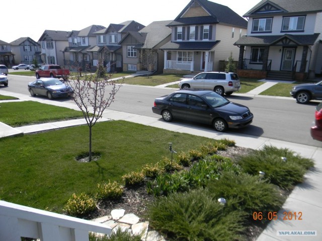 Это Калгари,сынок.