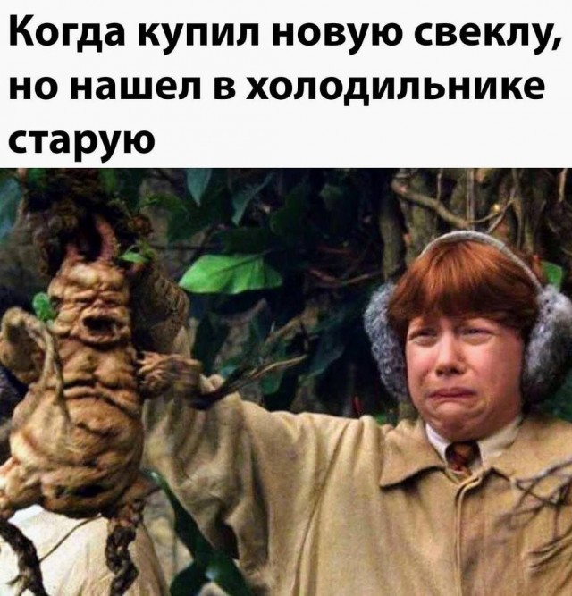 Деградация лайт 14.10.2022