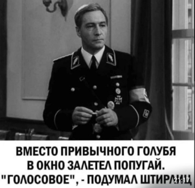 Так себе картинки 25.01.2023