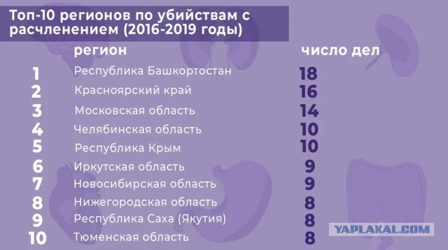 В парке на севере Санкт-Петербурга обнаружена человеческая нога