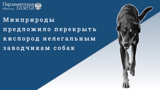 Победная поступь идиотизма по планете – том 12