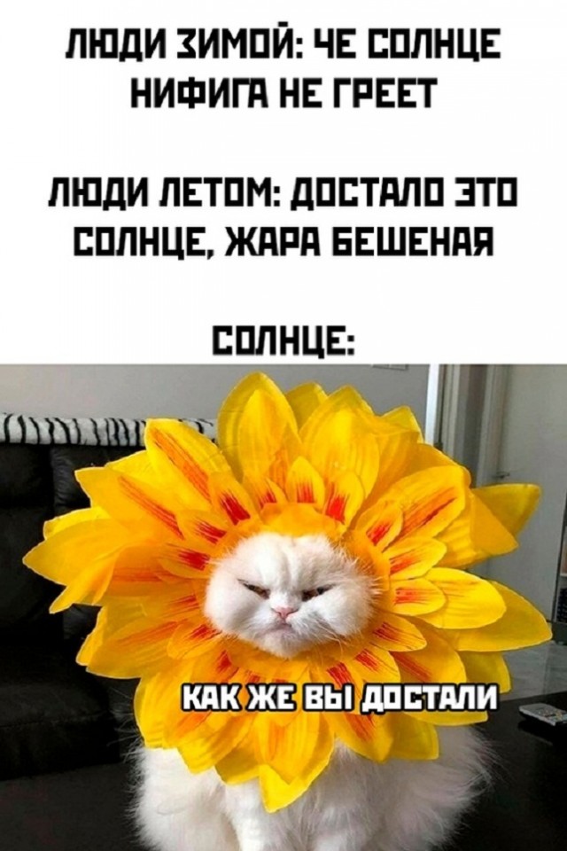 Картинки и мемы, всяко разно - 181