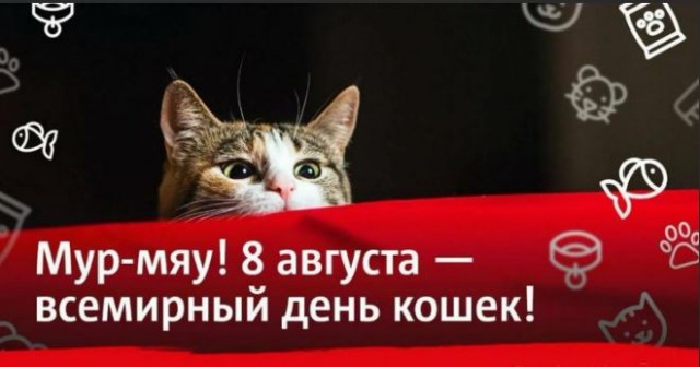 Демократия в опасности!