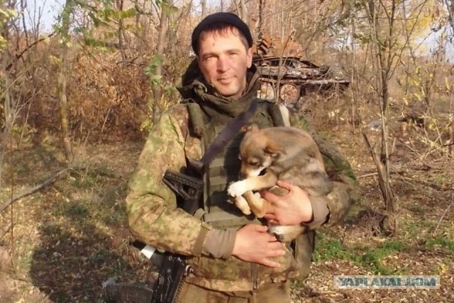 Геморройного мобилизованного осудили за самоволку