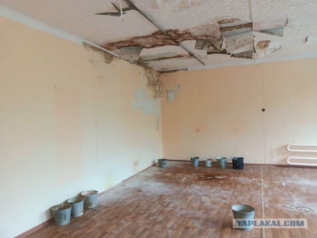 Слишком дорогие дети