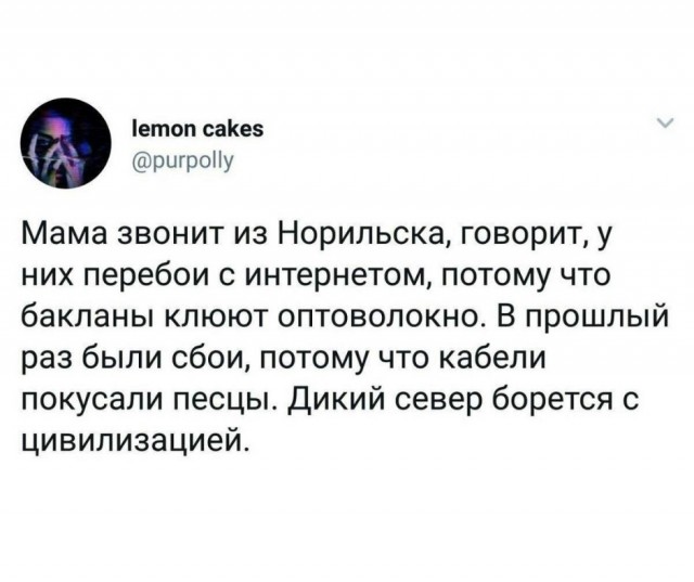 18837988.jpg