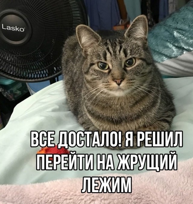 Так себе картинки 09.04.24