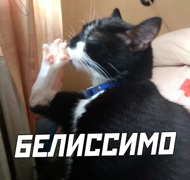 Хоть татуху с него коли