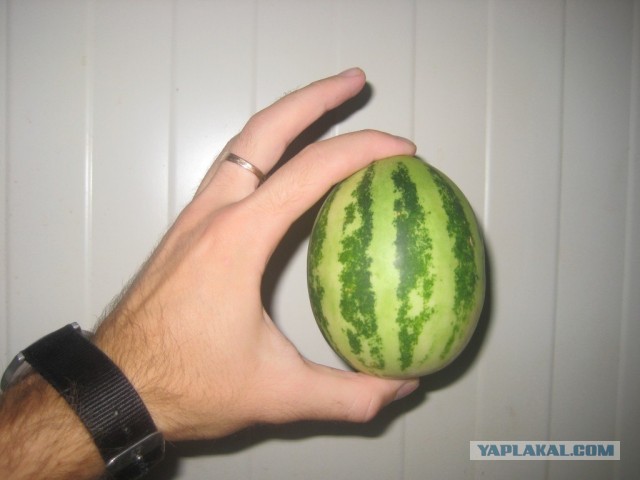 Еда в Иране